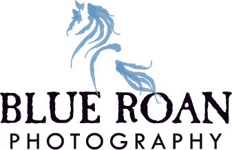 Blue Roan Photography